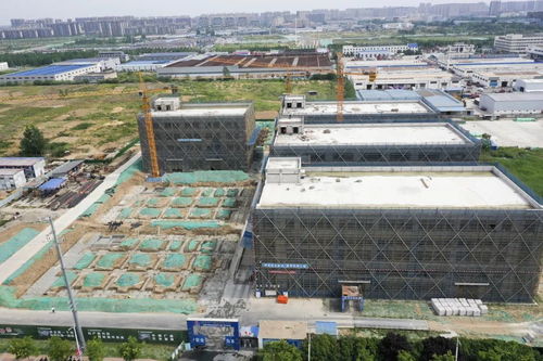 宿迁抢抓“它经济”新风口 50亿级宠物经济产业园蓄势待发